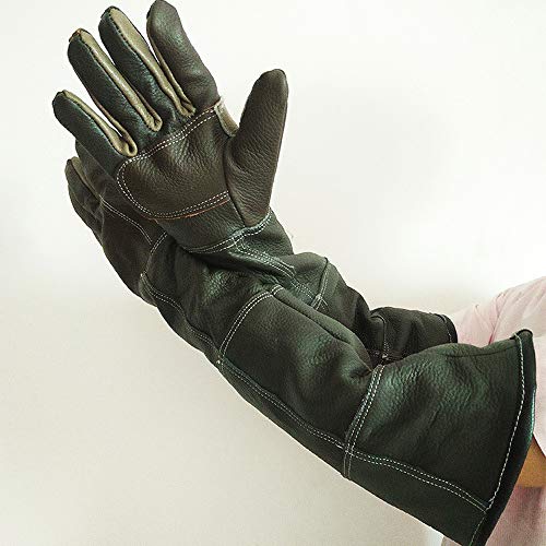 Peluquería para Mascotas Guantes de Cuero - para el Perro de Gato Hurón Wild Bird Manejo de Mascotas Lucky