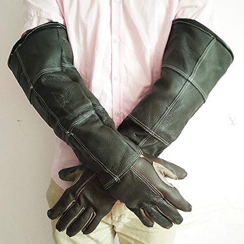 Peluquería para Mascotas Guantes de Cuero - para el Perro de Gato Hurón Wild Bird Manejo de Mascotas Lucky