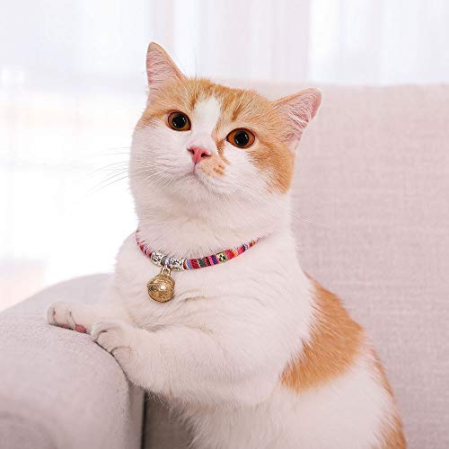 Perca gato doble hamaca ventosa cama de gato de succión de la ventana de la Copa Estantes Asiento Cat balancín 360 ° Tomar el sol Diseño que ahorra espacio w Juguete / 1Pc divertido gato ( Color : 3 )