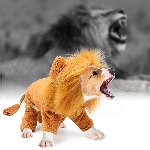 Perro del león traje ropa para mascotas en fiesta Halloween, simulación Lion admiten Trajes Cosplay del vestido Traje de invierno para mascotas Escudo del perrito caliente con capucha del mono,XS