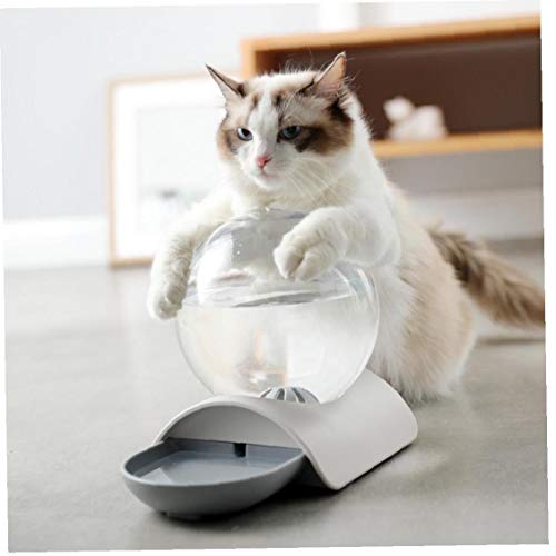Perro Gato Dispensador De Agua Caracol Forma Gatos Foutains Con Agua Para No Óxido Fuente Cat Spring Water Depósito Por Gravedad Waterer Para Gatos Perros