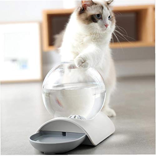 Perro Gato Dispensador De Agua Caracol Forma Gatos Foutains Con Agua Para No Óxido Fuente Cat Spring Water Depósito Por Gravedad Waterer Para Gatos Perros