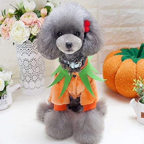 Perro Gato Halloween Calabaza Disfraz De Calabaza Perrito Caliente Trajes De Terciopelo Animal Otoño Invierno Ropa Mascota Cosplay Disfraces