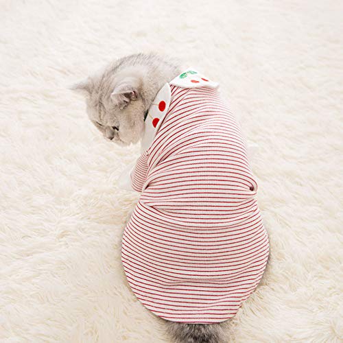 perros Ropa perros abrigo mascotas ropa Ropa de gato sin pelo ropa Sphynx camiseta de gato de pelo corto británico disfraz de cachorro ropa de primavera otoño para perro Navidad año nuevo regalos