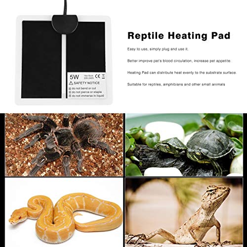Persdico Almohadilla térmica para reptiles de 5W, 220-240V, 14x15cm, alfombrilla térmica con enchufe europeo, calentador para perros y gatos, cama con regulación de temperatura de Color sólido
