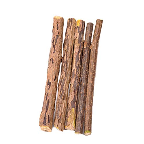 Persdico Limpieza de dientes para gatos, hierba gatera Natural, pasta de dientes Molar para gatos, palo Matatabi Actinidia, fruta, Silvervine, palitos para aperitivos para gatos