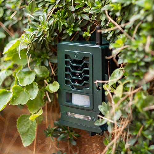 Pestbye® - Repelente inteligente para gatos con batería activado por movimiento, resistente al agua, con estaca de tierra