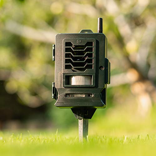 Pestbye® - Repelente inteligente para gatos con batería activado por movimiento, resistente al agua, con estaca de tierra