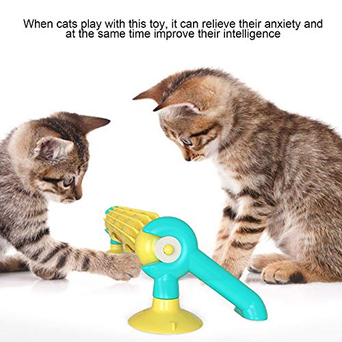 Pet Catnip Ball Track, Material Premium Combinación Aleatoria LED Juguetes Gatos Puzzle Track Toy Cat Scratching Toy Pet Track Ball Toy Cat Scratching Track para Gatos