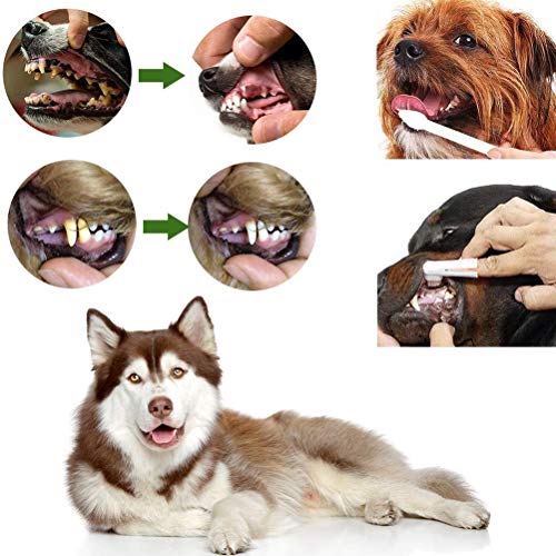 Pet Dog - Pasta de dientes para el cuidado de los dientes, kit de cuidado dental para perros y gatos