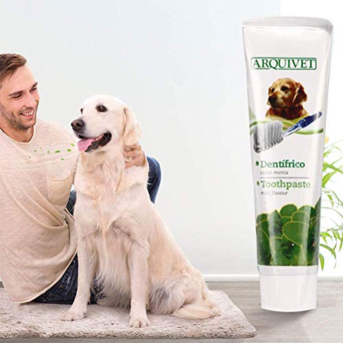 Pet Dog - Pasta de dientes para el cuidado de los dientes, kit de cuidado dental para perros y gatos