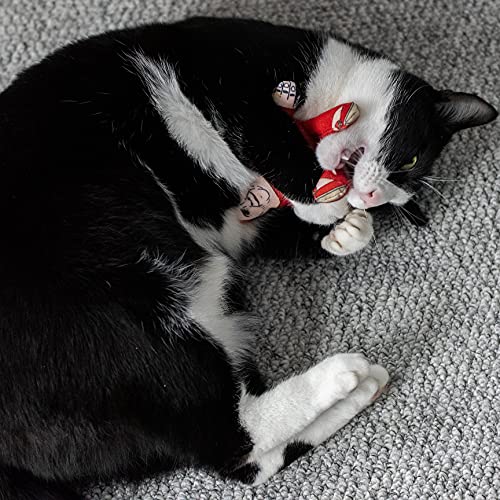 Pet Hates Toys Líderes Políticos Juguetes de Gato Suave Con Nip Gato (Nicola Sturgeon Regular)