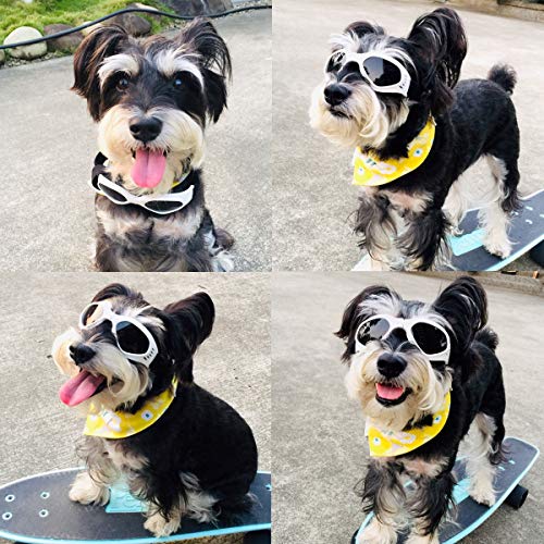 Pet LesoÃ‚® Dog Goggles Stylish Doggie Puppy Sunglasses Windproof - White by Pet Leso
