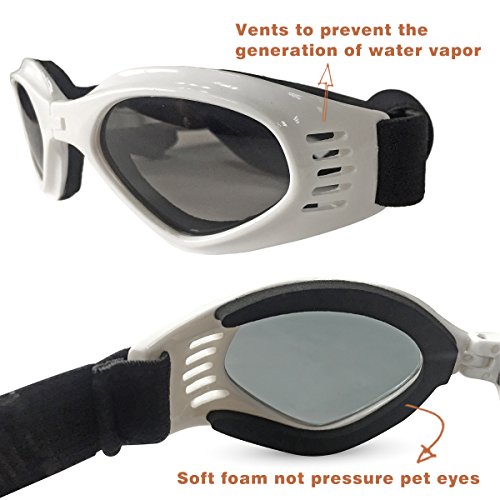 Pet LesoÃ‚® Dog Goggles Stylish Doggie Puppy Sunglasses Windproof - White by Pet Leso