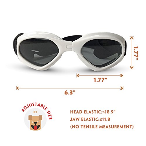 Pet LesoÃ‚® Dog Goggles Stylish Doggie Puppy Sunglasses Windproof - White by Pet Leso