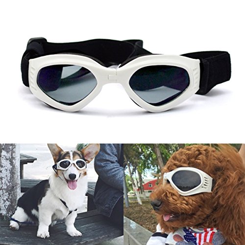 Pet LesoÃ‚® Dog Goggles Stylish Doggie Puppy Sunglasses Windproof - White by Pet Leso