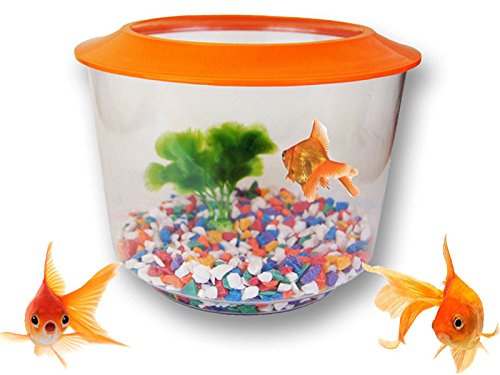 Pet Living Juego de iniciación de Golf, con Tapa de Acuario, Color Dorado, para casa de Pescado
