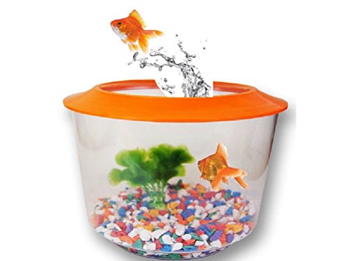 Pet Living Juego de iniciación de Golf, con Tapa de Acuario, Color Dorado, para casa de Pescado