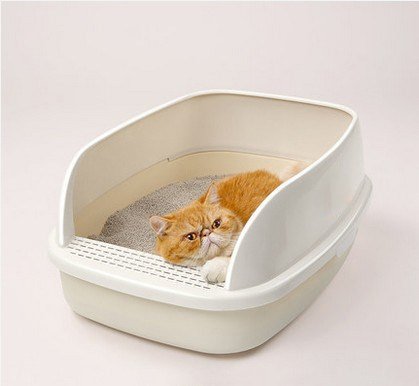 Pet Online Caja de arena para gatos Anti-splash Cat basura bandeja con pala