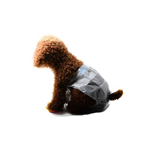 Pet Online Temporada de Perro Caliente Bragas pañal Pañales pañal Pañales Desechables de Pet Pet Pantalones mensuales Physique Pantalones Pantalones de Seguridad Super Absorbentes 10pcs, XS 35x20cm.