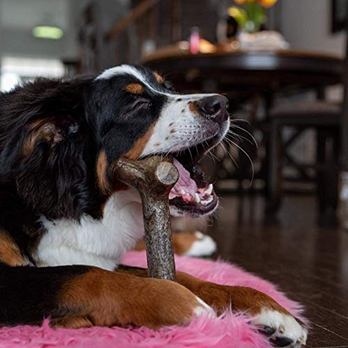 Pet Qwerks - Juguete masticable para perros con forma de hueso, para masticadores agresivos