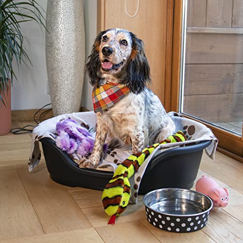 Petface Cama de plástico para Perro