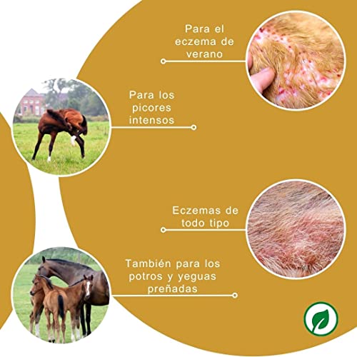 Peticare Caballo Locion contra Dermatitis Atopica y Eczema Verano - Tratamiento Eficaz de Piel Irritada, Detiene Picores Fuerte, Productos de Cuidado - petHorse Health 2000