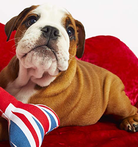 PetLondon - Hueso de la bandera británica de Londres de 8 pies, hueso de lona con chirriador, juguete interactivo divertido de la Reina Real Union Jack para perro