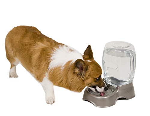Petmate - Dispensador de Agua para Mascotas, 900 ml, Color Perla Blanca