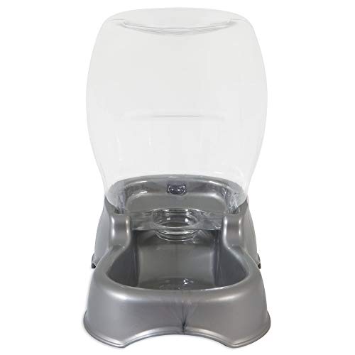 Petmate - Dispensador de Agua para Mascotas, 900 ml, Color Perla Blanca