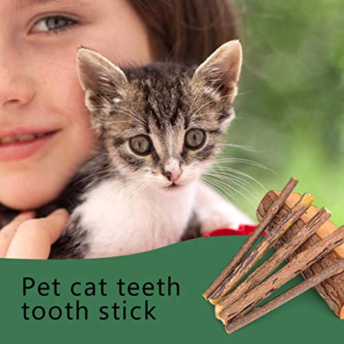 Petrichori Dientes de Limpieza de Gato Natural Catnip Pet Cat Molar Pasta de Dientes Stick Matatabi Actinidia Fruit Silvervine Cat Snacks Sticks