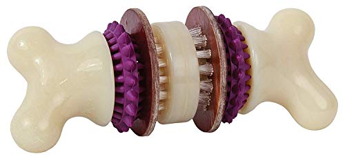 PetSafe Cepillo y Juguete en Forma de Hueso para Perros Busy Buddy