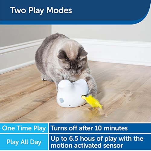 PetSafe Peek-a-Bird - Juguete Electrónico para Gatos - Juguete Interactivo para Gatos de Todas las Edades, Entretenimiento