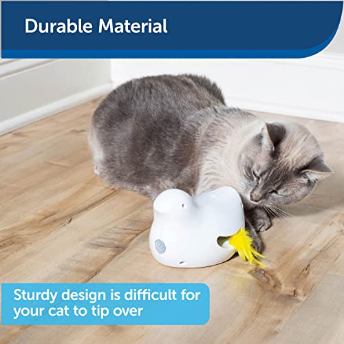 PetSafe Peek-a-Bird - Juguete Electrónico para Gatos - Juguete Interactivo para Gatos de Todas las Edades, Entretenimiento