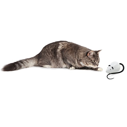 PetSafe RoloRat - Juguete Automático para Gatos, Juguete Interactivo para Gatos, Mantiene la Atención de los Gatos al Jugar