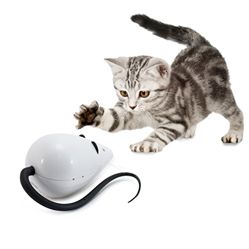 PetSafe RoloRat - Juguete Automático para Gatos, Juguete Interactivo para Gatos, Mantiene la Atención de los Gatos al Jugar