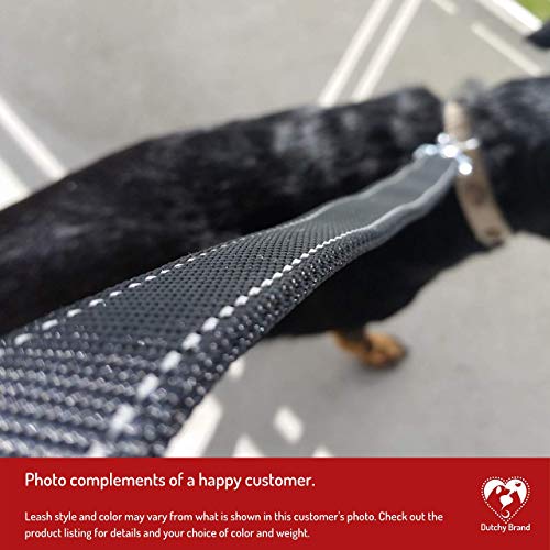 PetsLovers Cinturón de Seguridad de para Perros/Cinturón de Nylon para trasportar Mascotas (Mascotas Pequeñas/Medianas)