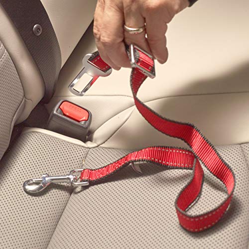 PetsLovers Cinturón de Seguridad de para Perros/Cinturón de Nylon para trasportar Mascotas (Mascotas Pequeñas/Medianas)