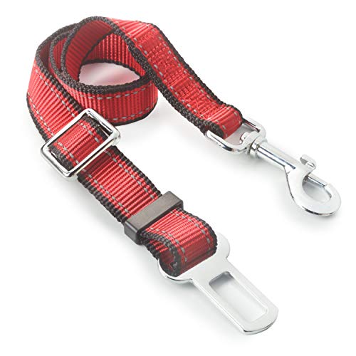 PetsLovers Cinturón de Seguridad de para Perros/Cinturón de Nylon para trasportar Mascotas (Mascotas Pequeñas/Medianas)