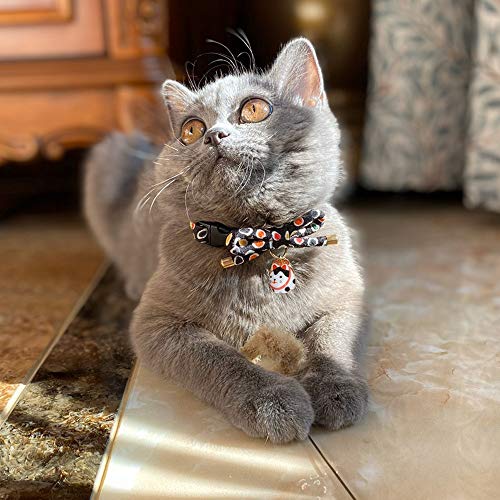 PetSoKoo Collar de gato pajarita con lazo de campana con lindo encanto de gato.