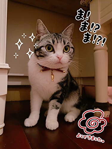 PetSoKoo Lindo collar de gato con campana. Elegante lazo japonés y encanto de pescado. Escapada de seguridad, suave, ligero, para niña, niño, macho, hembra, gatito, azul marino