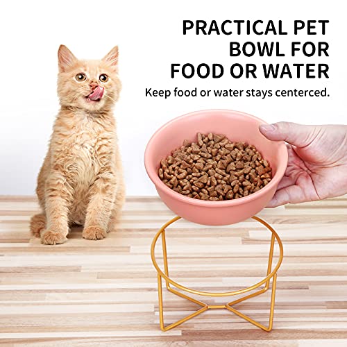 PETTOM Cuencos para Gatos, Comedero Gatos con Inclinación, Cuenco de Alimentación para Mascotas Antideslizante ​Adecuado para Gatos Y Cachorros (480ml, Naranja)