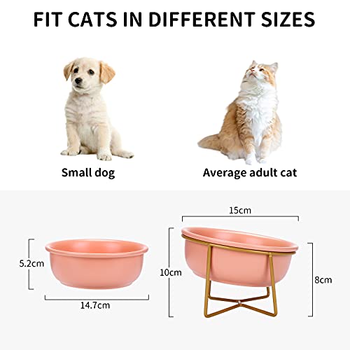 PETTOM Cuencos para Gatos, Comedero Gatos con Inclinación, Cuenco de Alimentación para Mascotas Antideslizante ​Adecuado para Gatos Y Cachorros (480ml, Naranja)