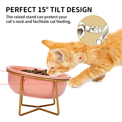 PETTOM Cuencos para Gatos, Comedero Gatos con Inclinación, Cuenco de Alimentación para Mascotas Antideslizante ​Adecuado para Gatos Y Cachorros (480ml, Naranja)