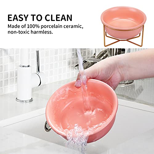 PETTOM Cuencos para Gatos, Comedero Gatos con Inclinación, Cuenco de Alimentación para Mascotas Antideslizante ​Adecuado para Gatos Y Cachorros (480ml, Naranja)