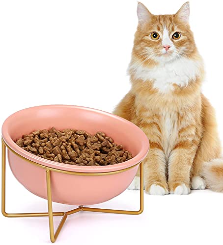 PETTOM Cuencos para Gatos, Comedero Gatos con Inclinación, Cuenco de Alimentación para Mascotas Antideslizante ​Adecuado para Gatos Y Cachorros (480ml, Naranja)