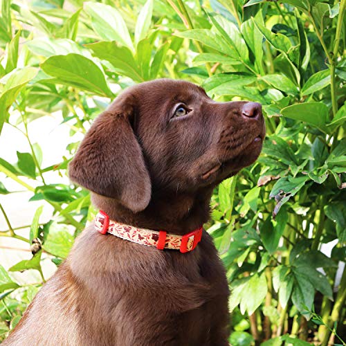 pettsie Collar de perro a juego y pulsera de la amistad del propietario, tamaño ajustable pequeño y mediano, duradero, cáñamo apto para mascotas con patrón de lujo, cómodo, fuerte