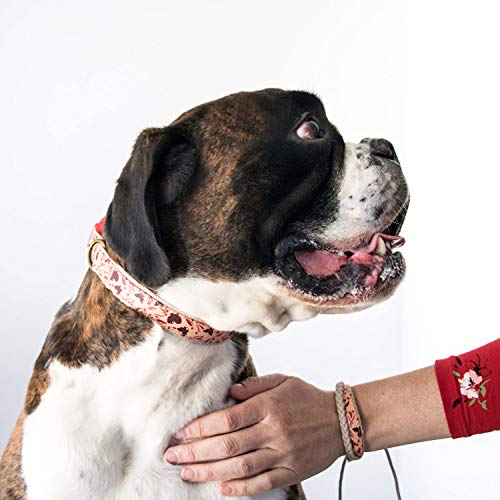 pettsie Collar de perro a juego y pulsera de la amistad del propietario, tamaño ajustable pequeño y mediano, duradero, cáñamo apto para mascotas con patrón de lujo, cómodo, fuerte