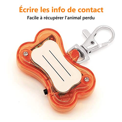 Phorris - Luces de advertencia de seguridad para mascotas LED, nudo mariposa o colgante collar estilo hueso para la marcha nocturna de perro y gato. Multicolor 6 en 1 caja.