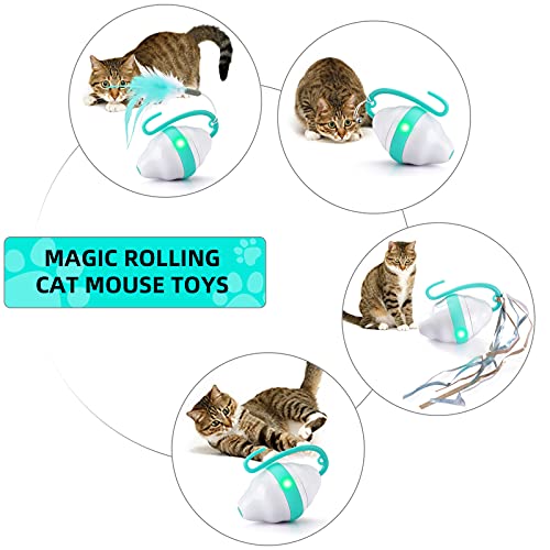 Pidsen Juguetes para Gatos Interactivos Bola De Gato, Bola de Juguete Automática para Gatos con Luces LED, 2 Modos de Velocidad, Rotación Automática de 360 ​​Grados y Carga USB